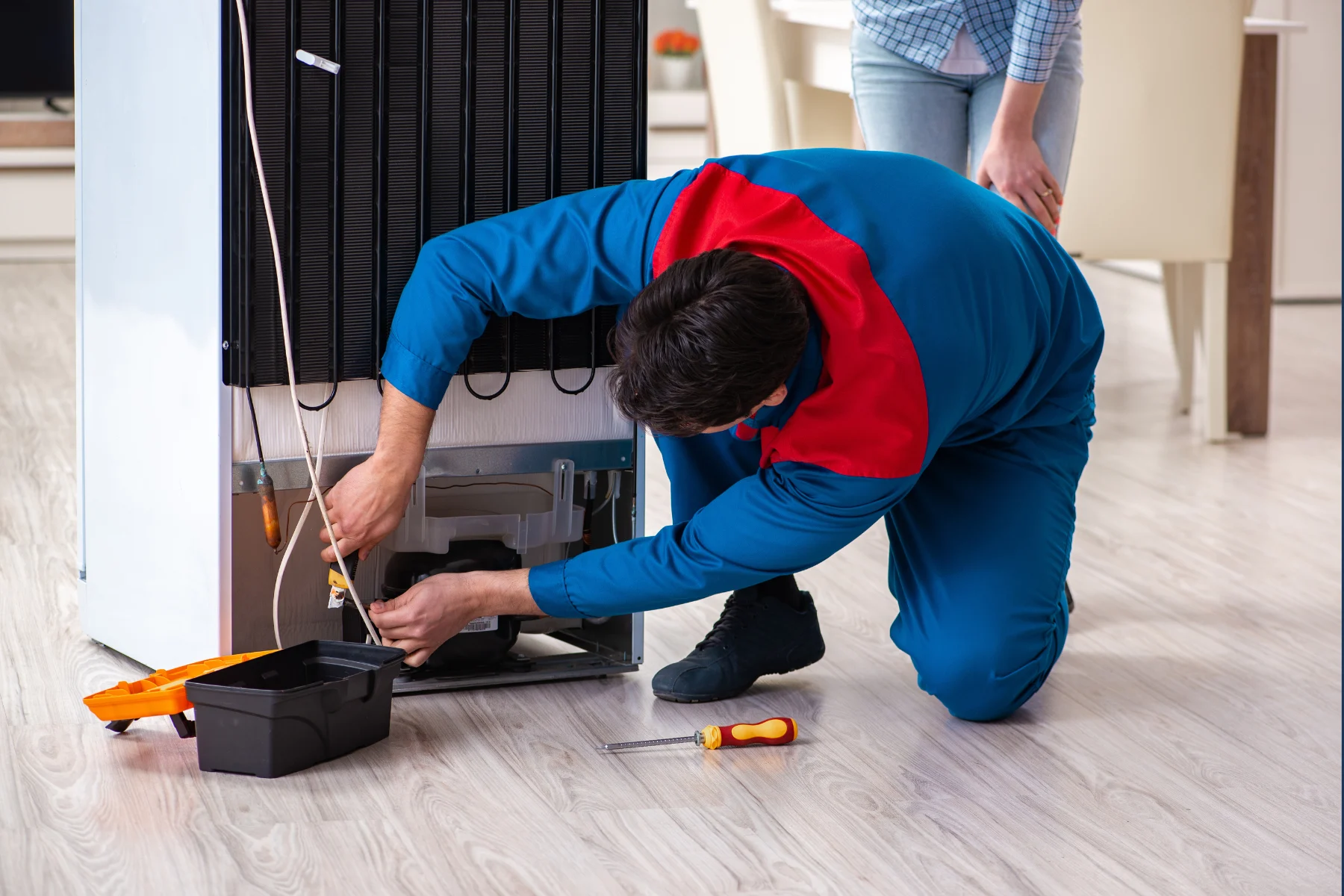 Refrigerator Repair Service in Denistone East